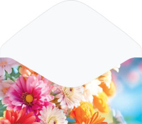 Конверт для денег "С днем рождения"