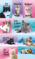 Набор наклеек  "Кошки мемы 3" 160*97мм с блёстками