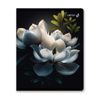 Тетрадь А5 48л кл. Светоч "Тайна чёрного сада"