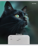 Тетрадь А5 12л косая лин. частая Проф-Пресс "Портретные фото котов" 5диз.в спайке, белизна 100%