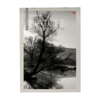 Блокнот А5  40л скоба "Природа" клетка, ассорти