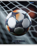 Тетрадь А5  96л кл. Проф-Пресс "Разные футбольные мячи -1" 4 диз.в коробе
