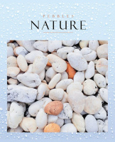 Тетрадь А5 48л кл. Hatber !СУПЕРЭКОНОМ! "Nature" белизна 80%