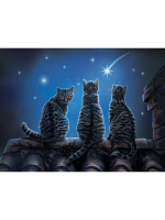 Пазл 3D 500 дет.  61*46см "Желание на звезду"