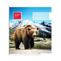 Тетрадь А5 18л лин. ПЗБМ "Удивительная планета" выб. УФ-лак