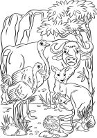 Выжигание набор досочек А4 "Австралия"