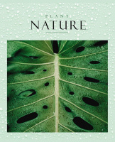 Тетрадь А5 48л кл. Hatber !СУПЕРЭКОНОМ! "Nature" белизна 80%