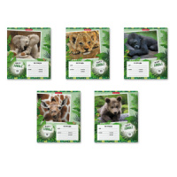 Тетрадь А5 12л кл. Erich Krause "Baby Jungle"