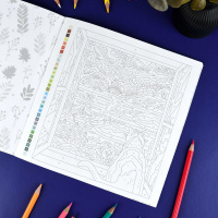 Раскраска "Картины по номерам 3-в-1. Пейзажи" 215*215мм 32стр.