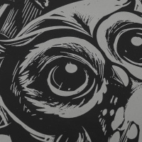 Гравюра 18*24см серебро/светится в темноте "Совушки" 3+