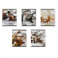 Тетрадь А5 48л кл. Erich Krause  "Dream Cat", пласт.обл.,MIX-PACK