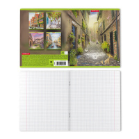 Тетрадь А5 48л  кл.,  "Promenade"