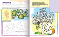 Раскраска А5, 8л. с наклейками "Дорисуй и раскрась. Ягоды"