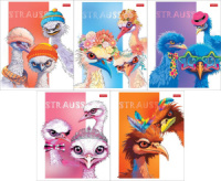 Тетрадь А5 48л кл. Hatber "Модные страусы" мат.лам., 5 диз.в блоке, белизна 100%