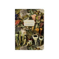 Записная книжка А6  32л. картон, мягк.пер. "Flora. Эльфийский лес лин.