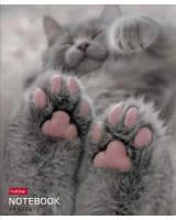 Тетрадь А5 48л кл. Hatber "Розовые лапки" 5 диз.в спайке, белизна 100%