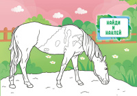 Раскраска А5 16стр. с наклейками "Лошади"