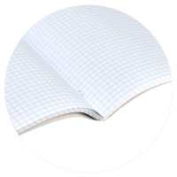 Тетрадь А5 48л кл. Феникс+ "Аниме" выб.твин-лак, белизна 100%