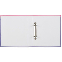 Папка на кольцах (без блока) А5 Hatber "Прикольные улитки" глянц.лам.