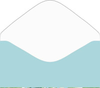 Конверт для денег "С Днем Свадьбы!"