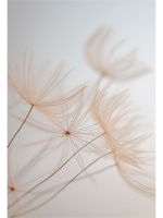 Тетрадь А4 7БЦ  80л кл. сшивка Проф-Пресс "Бежевый тон" глянц.лам.