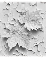 Тетрадь А5 48л кл. Hatber "Дыхание вечности" тисн., 5 диз.в блоке