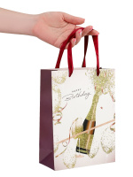 Пакет подар. бумажн. 18*23*10 см, 210гр/м2 Взрыв шампанского