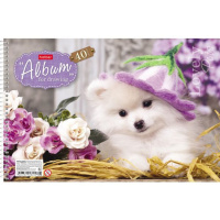 Альбом А4 40л  гребень "Любимцы"  пл. 100 г/м