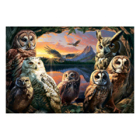 Пазл 3D  48 дет.  15*22см "Ночные совы"