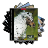 Тетрадь А5 48л кл. Erich Krause "Энциклопедия, Лошади"