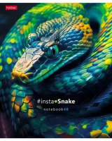 Тетрадь А5 48л кл. Hatber "InstaSnake" глянц.лам., 5 диз.в блоке, белизна 100%