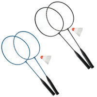 Набор для бадминтона в сетке (ракетка 2шт, волан), металл, пластик