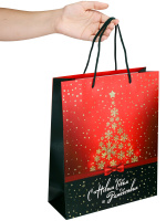 Пакет подар. бум. новогодн. 26*32*10см Новогодняя звезда