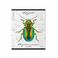 Тетрадь А5 48л кл. Erich Krause "Жуки,", УФ-лак выборочный+тиснение фольгой+ конгр.