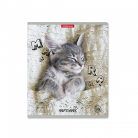 Тетрадь А5 48л кл. Erich Krause " Be Relaxed"