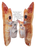 Мягкая игрушка 40см "Кот Мем"