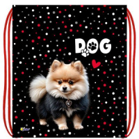 Мешок для обуви 1 отд, 410*490 "Стильный шпиц" петля