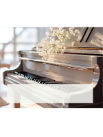 Тетрадь для нот А4 24л., гориз., скоба "Инструменты и белая студия"