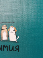 Тетрадь предметная А5 Химия "Mini friends" 48л, кл.,тисн.лен