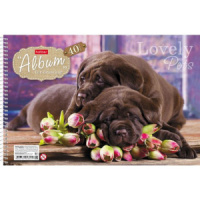 Альбом А4 40л  гребень "Любимцы"  пл. 100 г/м