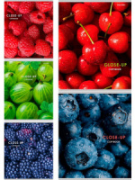 Тетрадь А5 48л кл. Проф-Пресс "Ягодные фото" белизна 100%