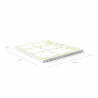 Расписание уроков А4 "Яркие дольки"