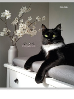 Тетрадь А5  96л кл. Проф-Пресс "Разные домашние коты"