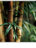 Тетрадь А5 48л кл. Проф-Пресс "Растительная тема" обл.мел.бум.