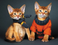 Календарь Трио  295*720мм на 2026г.  Пойдем гулять