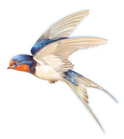 Вырубная фигурка 31*35см "Ласточка"