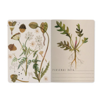 Записная книжка А5  40л. картон, мягк.пер. "Flora. Луговые травы" лин.