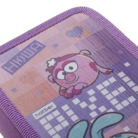 Пенал 2 отд. (190*110*40) молния, лам.картон "Смешарики"