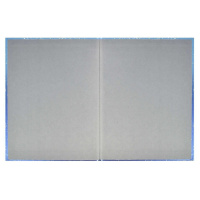 Дневник универсальн. обл. 7БЦ "Бесконечность" выб.УФ-лак, мат.лам., фольга, 48л.