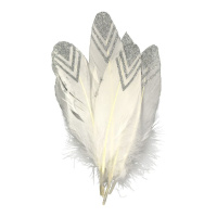 Набор Перья для декорирования №11 Золото/серебро, 17-20см